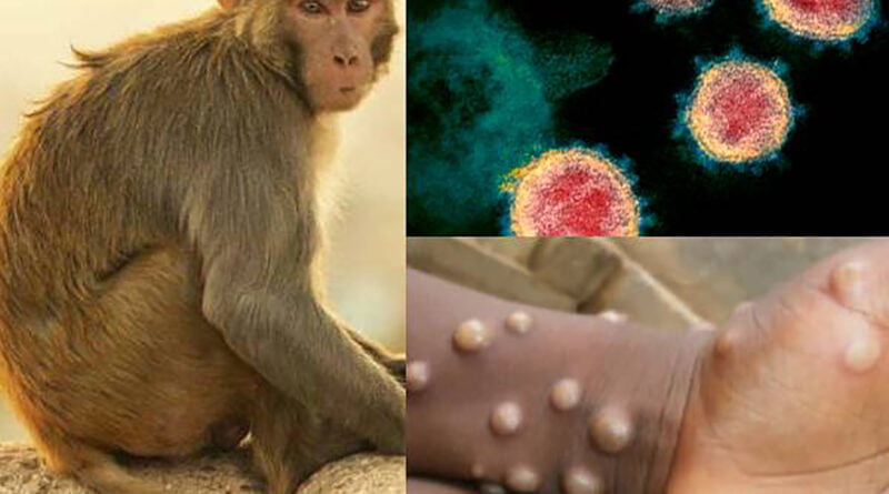 variola maimuta